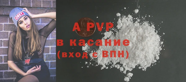 сатива Абаза