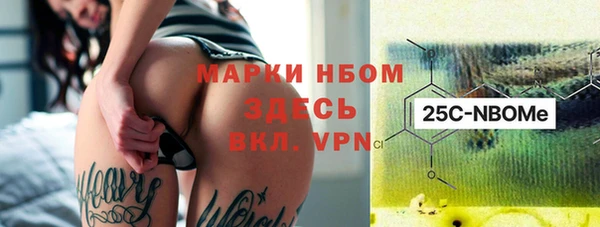 хмурый Слюдянка