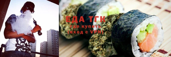 гидра Снежногорск