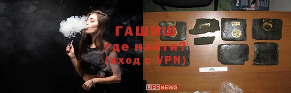 гидра Снежногорск