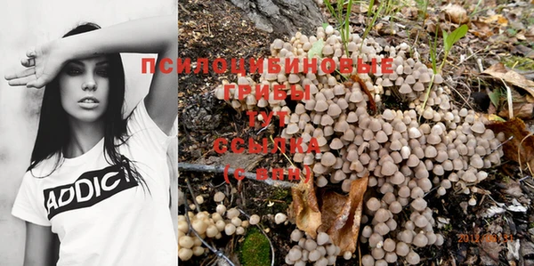 прущие крисы Абинск