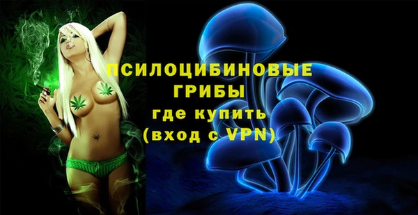 гидра Снежногорск