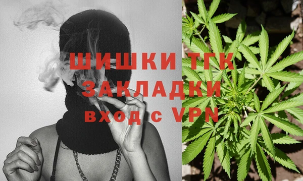сатива Абаза