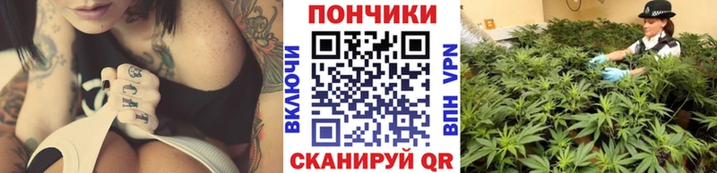 купить наркотики сайты  Знаменск  Бошки марихуана SATIVA & INDICA 